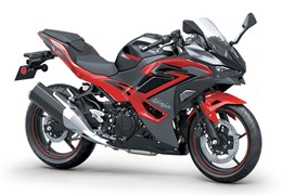 Neumotorrad Kawasaki Ninja 500 SE