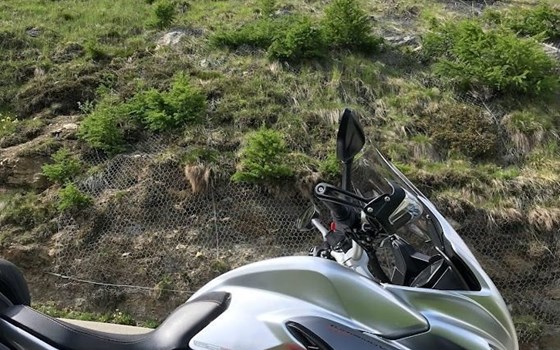 Gebrauchtmotorrad MV Agusta Turismo Veloce 800 - Bild 5