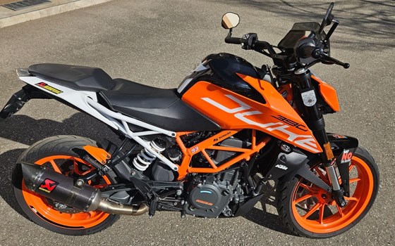 Gebrauchtmotorrad KTM 390 Duke - Bild 2