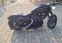 Gebrauchte Harley-Davidson Sportster XL 883 N Iron