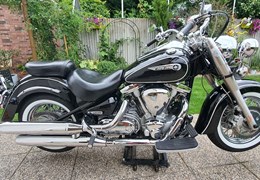 Gebrauchte Yamaha XV 1600 Wild Star