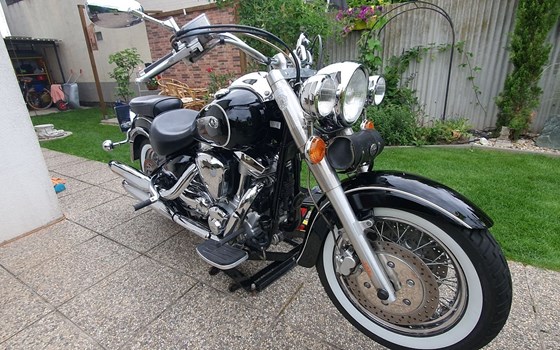 Gebrauchtmotorrad Yamaha XV 1600 Wild Star - Bild 2