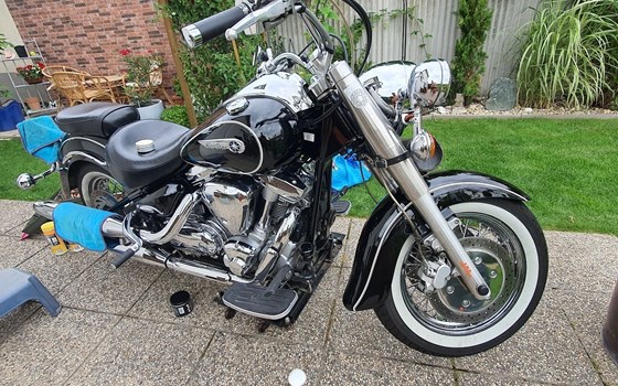 Gebrauchtmotorrad Yamaha XV 1600 Wild Star - Bild 3