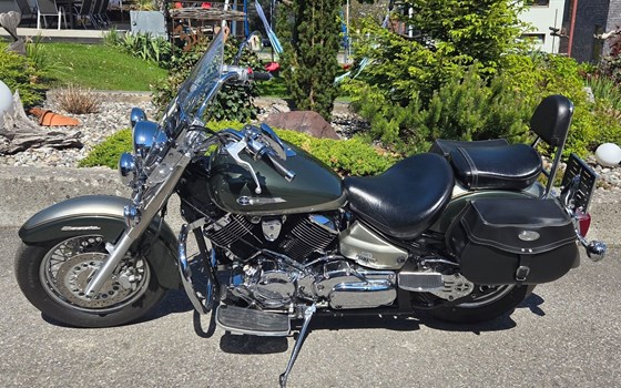 Gebrauchtmotorrad Yamaha XVS 1100 Drag Star Classic - Bild 6