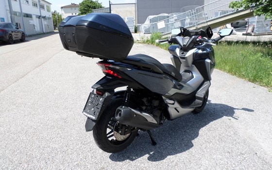 Gebrauchtmotorrad Honda Forza 300 - Bild 3