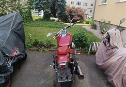 Gebrauchte Honda VT 750 DC Black Widow