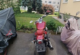 Gebrauchte Honda VT 750 DC Black Widow