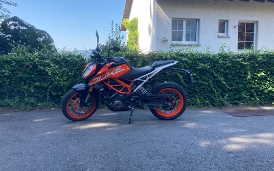Offre KTM 390 Duke - Image 2