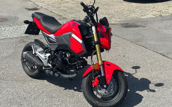 Gebrauchtmotorrad Honda MSX 125 - Bild 1