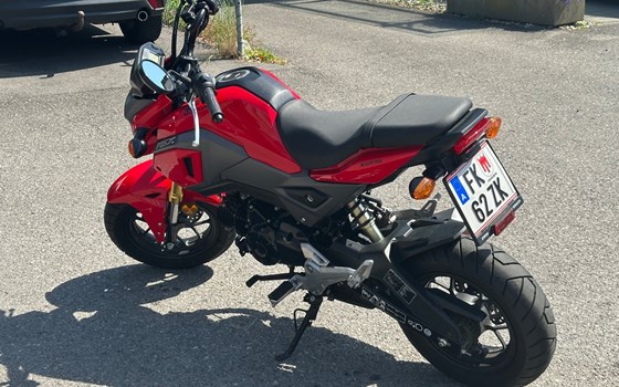 Gebrauchtmotorrad Honda MSX 125 - Bild 2