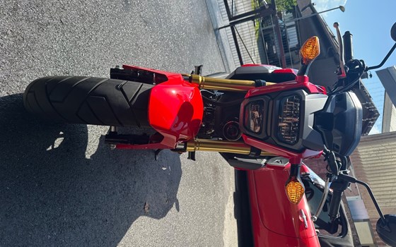 Gebrauchtmotorrad Honda MSX 125 - Bild 4