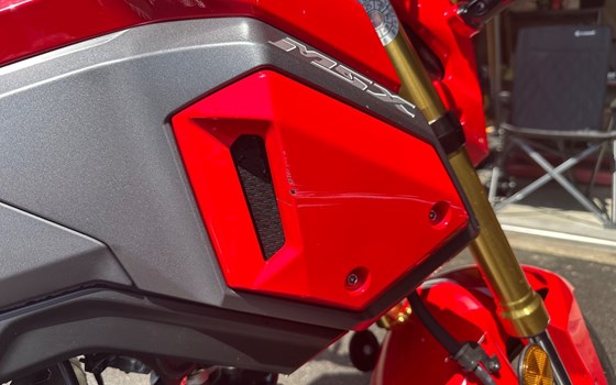 Gebrauchtmotorrad Honda MSX 125 - Bild 5