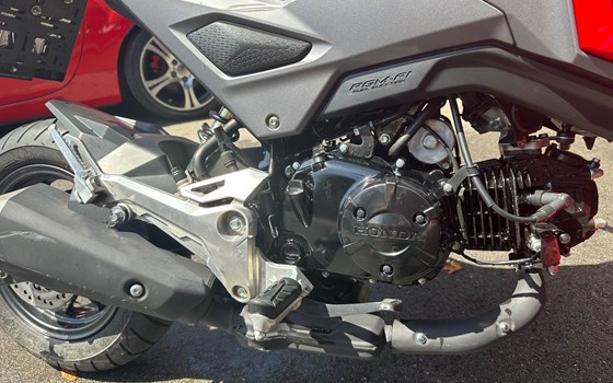 Gebrauchtmotorrad Honda MSX 125 - Bild 6