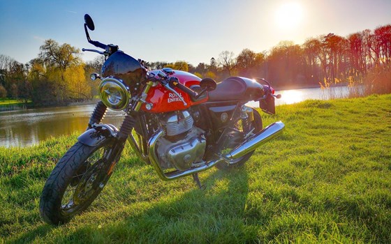 Gebrauchtmotorrad Royal Enfield Continental GT 650 - Bild 8