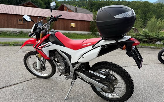 Gebrauchtmotorrad Honda CRF250L - Bild 2