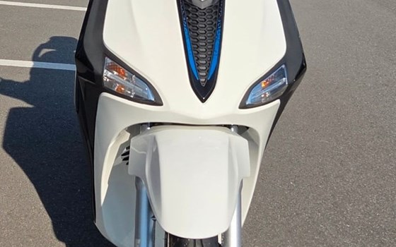 Neufahrzeug Piaggio Liberty 50 S - Bild 19