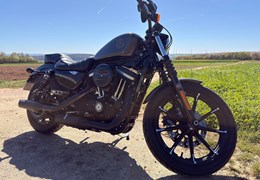 Gebrauchte Harley-Davidson Sportster XL 883 N Iron