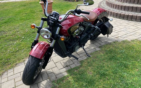 Gebrauchtmotorrad Indian Scout - Bild 3