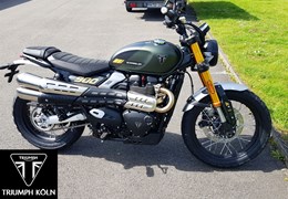 Neumotorrad Triumph Scrambler 900