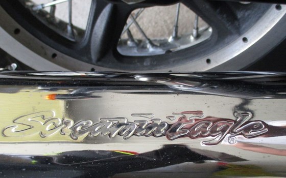 Gebrauchtmotorrad Harley-Davidson Sportster XL 1200C Custom - Bild 7