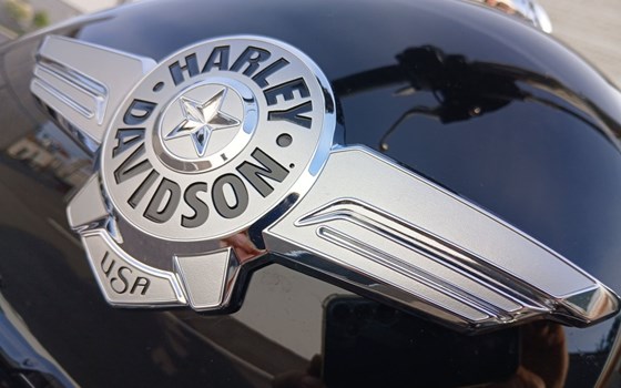 Gebrauchtmotorrad Harley-Davidson Softail Fat Boy 114 FLFBS - Bild 19