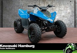 Neumotorrad CFMOTO CForce 110