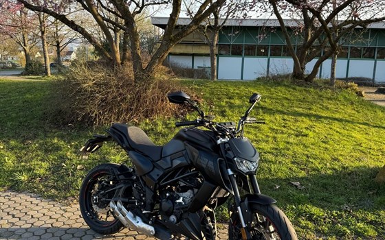 Gebrauchtmotorrad Motobi DL 125 Naked - Bild 2