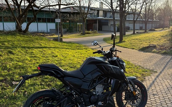 Gebrauchtmotorrad Motobi DL 125 Naked - Bild 4