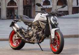 Neumotorrad Ducati Monster