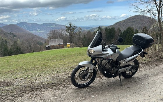 Gebrauchtmotorrad Honda XL 650V Transalp - Bild 3