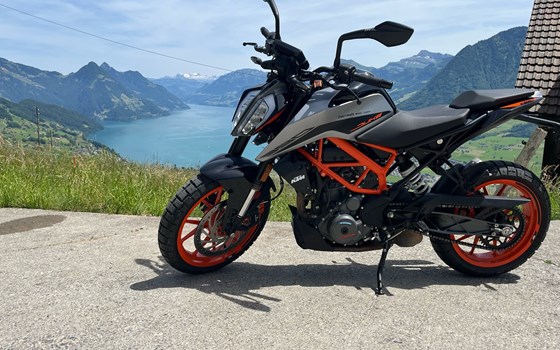 Motorrad Occasion KTM 390 Duke - Bild 1