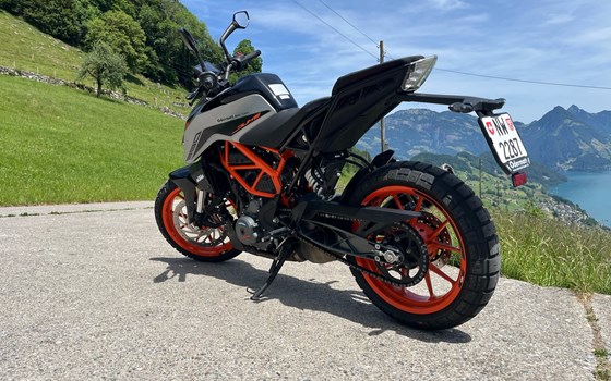 Motorrad Occasion KTM 390 Duke - Bild 2
