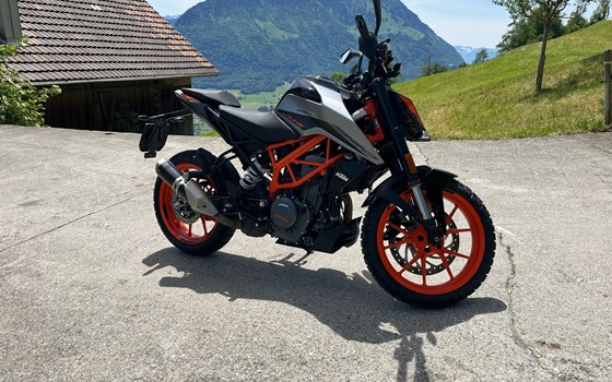 Motorrad Occasion KTM 390 Duke - Bild 4