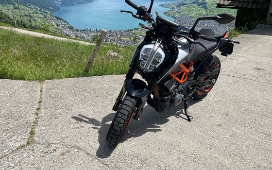 Motorrad Occasion KTM 390 Duke - Bild 5