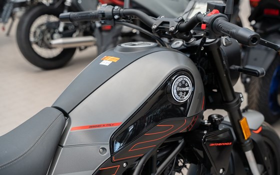 Neufahrzeug Benelli Leoncino 125 - Bild 10