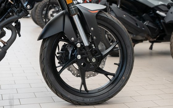 Neufahrzeug Benelli Leoncino 125 - Bild 18