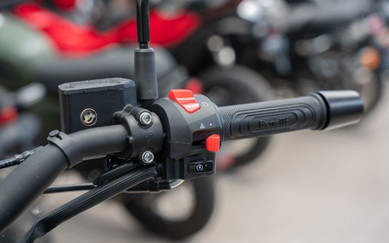 Neufahrzeug Benelli Leoncino 125 - Bild 7