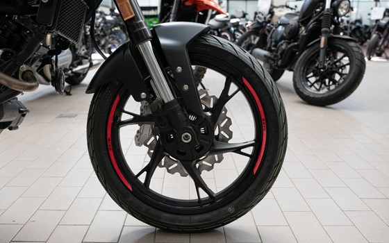 Neufahrzeug Benelli BKX 125 S - Bild 12
