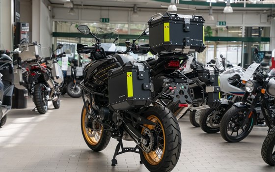 Neufahrzeug QJ Motor SRT 900 SX - Bild 5