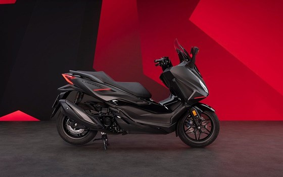 Neufahrzeug Honda Forza 350 Special Edition - Bild 2