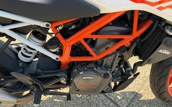 Gebrauchtmotorrad KTM 390 Duke - Bild 8