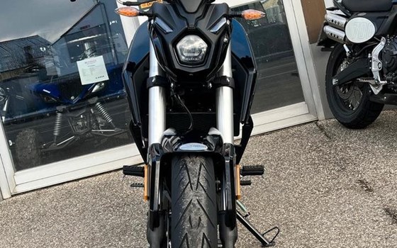 Neufahrzeug Voge R125 ABS - Bild 9