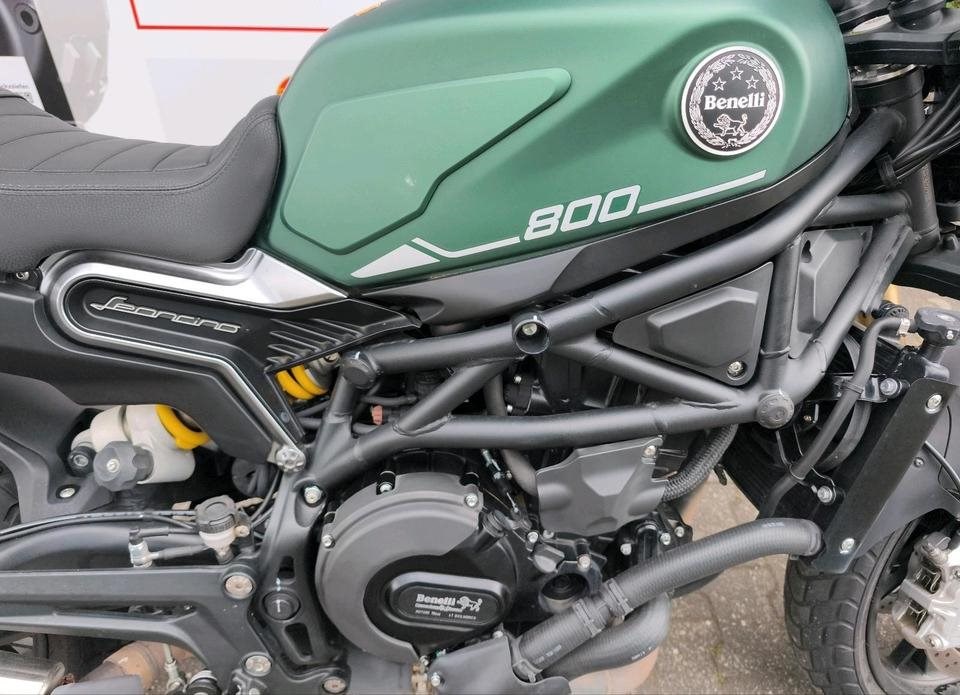 Angebot Benelli Leoncino 800