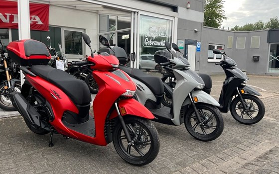 Gebrauchtmotorrad Honda SH350i - Bild 1
