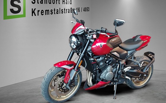Neufahrzeug Triumph Trident 800 - Bild 1