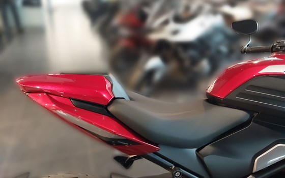 Neufahrzeug Triumph Trident 800 - Bild 10