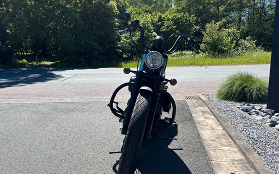 Gebrauchtmotorrad Harley-Davidson Sportster XL 1200 N Nightster - Bild 5