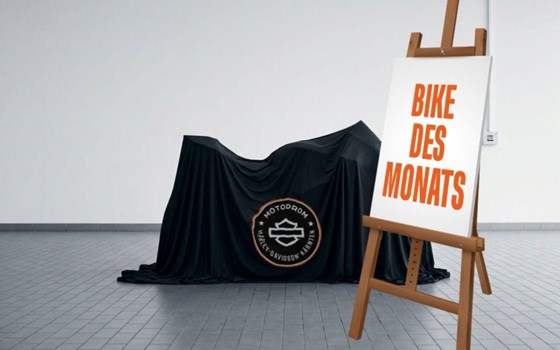 Gebrauchtmotorrad Harley-Davidson Pan America 1250 - Bild 1