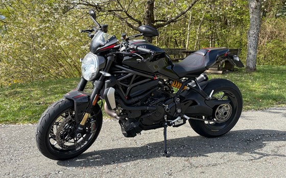 Gebrauchtmotorrad Ducati Monster 1200 R - Bild 3