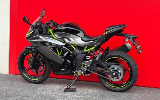 Neufahrzeug Kawasaki Ninja 125 - Bild 11
